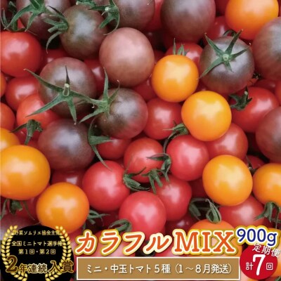 【2026年1月～8月頃発送】<約900g×7回 定期便 >カラフルトマト アイメックトマト 
