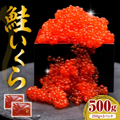 えりも【マルデン特製】鮭いくら醤油漬け250g×2箱【er002-098】