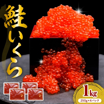 えりも【マルデン特製】鮭いくら醤油漬け250g×4箱【er002-099-s】