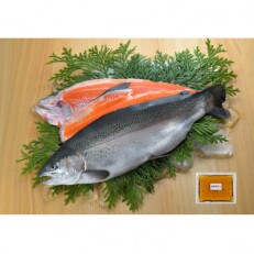 【2023年5月上旬発送】海峡サーモン船上活〆3.0kg1本 (冷蔵) | ふるさと納税のお礼品