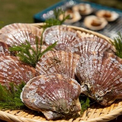 青森県むつ湾産活ホタテ Lサイズ2kg