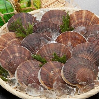 青森県むつ湾産活ホタテ Lサイズ2kg
