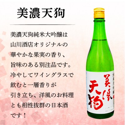 日本酒　美濃天狗 純米大吟醸+明智光秀 本醸造+明智天海 純米酒720ml×6本セット