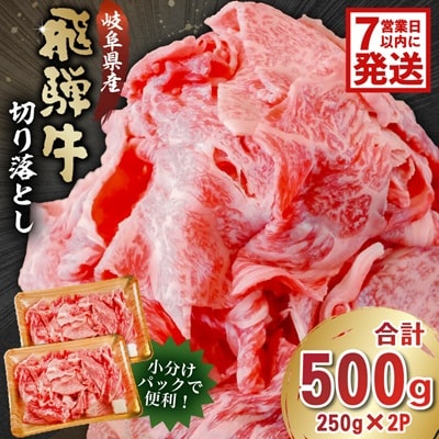 飛騨牛　切り落とし500g(250g×2)