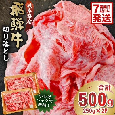 飛騨牛　切り落とし500g(250g×2)