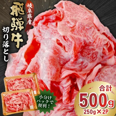 飛騨牛切り落とし500g(250g×2)