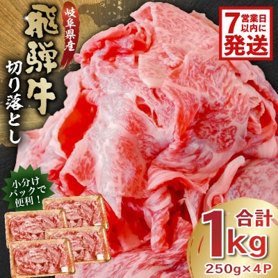 飛騨牛　切り落とし1kg(250g×4)