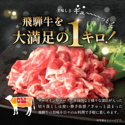 飛騨牛　切り落とし1kg(250g×4)
