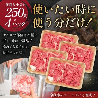 飛騨牛　切り落とし1kg(250g×4)