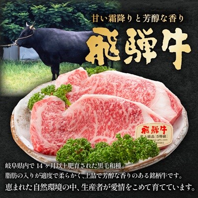飛騨牛　切り落とし1kg(250g×4)