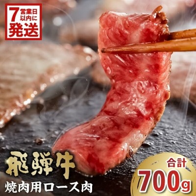 飛騨牛　焼肉用(ロース700g)