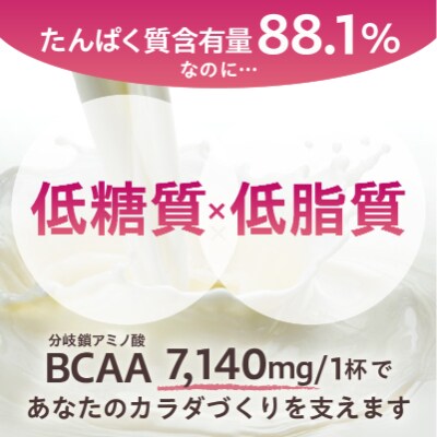 【定期便】DAILY BASIC+ WPI チョコレート(2か月連続お届け)