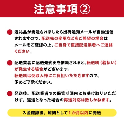 しなやかハンガー12P　
