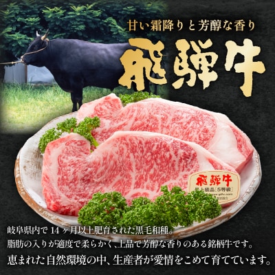 飛騨牛BBQセット(カルビ350g、もも・かた肉 焼き肉用350g)　