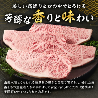 厚切り!飛騨牛サーロインステーキ900g　