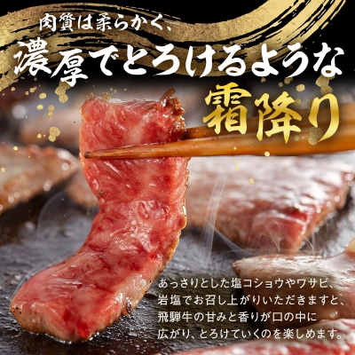 飛騨牛　焼肉用(ロース700g)　