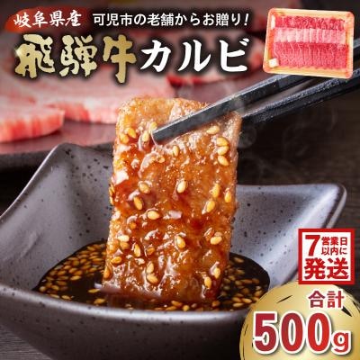 飛騨牛カルビ500g　