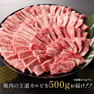 飛騨牛カルビ500g　
