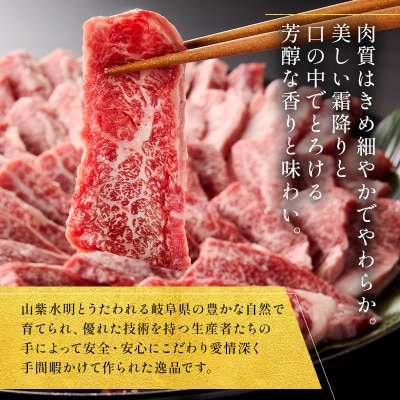 飛騨牛カルビ500g　