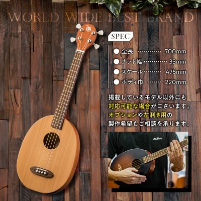 ヤイリギター　一五一会　奏生(アコースティックギター)　
