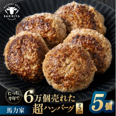 超ハンバーグミニ　5個