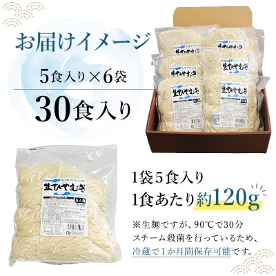 創業明治33年の老舗製麺所が作る「生ひやむぎ」30食(5食入り×6袋)