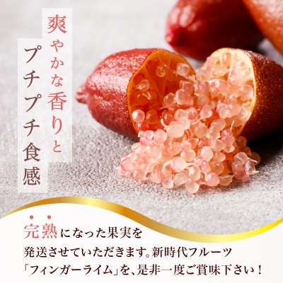 フィンガーライム　70g