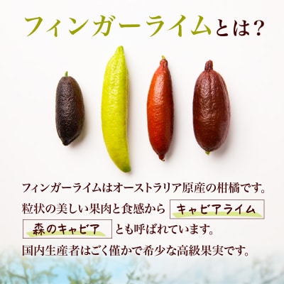 フィンガーライム　70g