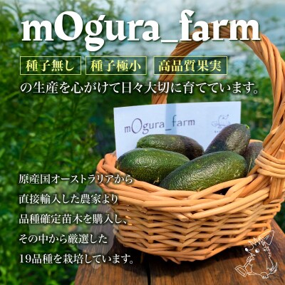 フィンガーライム　70g