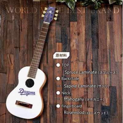 K.Yairi×ドラゴンズ　アコースティックギター　CEFIRO ltd.【中日ドラゴンズコラボ】