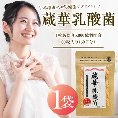 乳酸菌サプリメント　蔵華乳酸菌