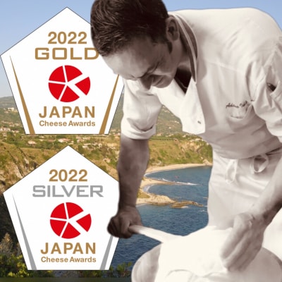がんばれ中日ドラゴンズ!ナポリセット(JCA2022金賞・銀賞)【中日ドラゴンズコラボ】
