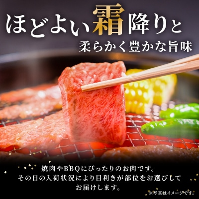 飛騨牛 ロースまたは肩ロース 600g (焼肉・BBQ用)