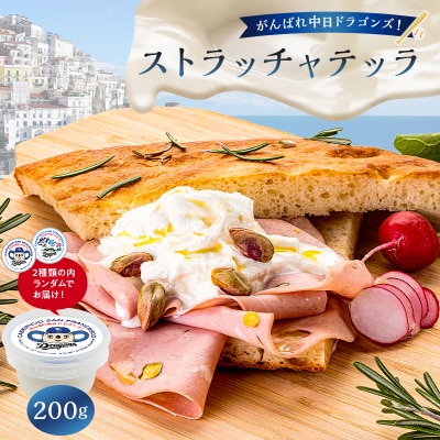 がんばれ中日ドラゴンズ!ストラッチャテッラ1個【中日ドラゴンズコラボ】
