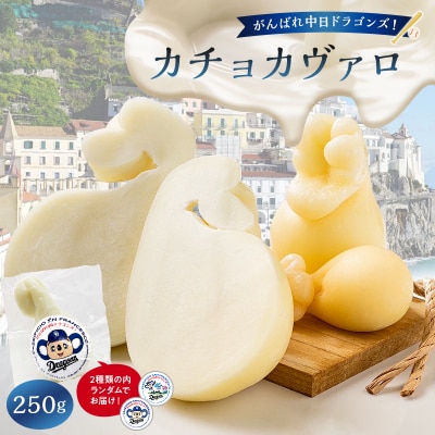 がんばれ中日ドラゴンズ!カチョカヴァロ1個【中日ドラゴンズコラボ】
