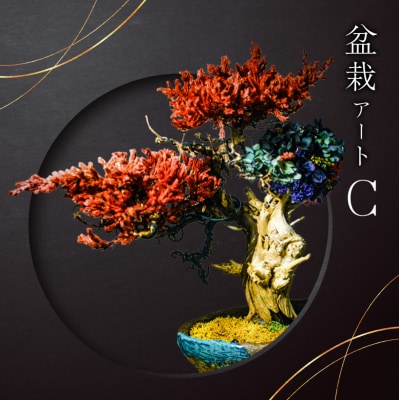 盆栽アート【C】