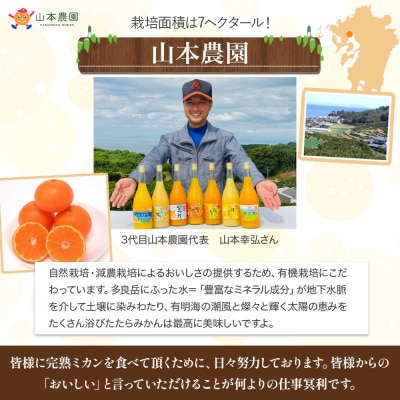 山本農園の甘熟みかん 5kg　L13