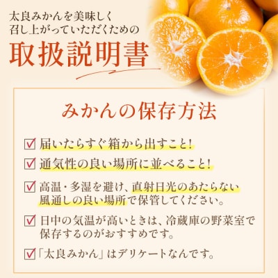 山本農園の甘熟みかん 5kg　L13