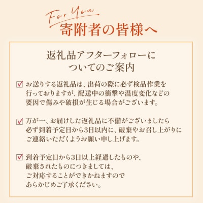 山本農園の甘熟みかん 5kg　L13
