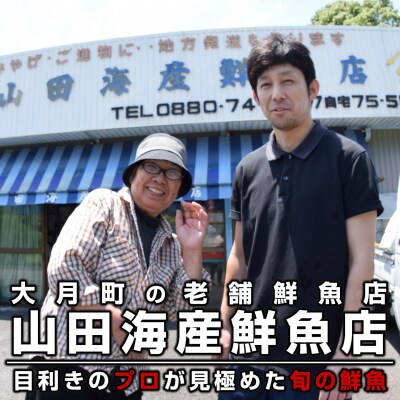 【定期便6回】山田さんちの鮮魚便(奇数月)