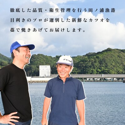 【定期便4回】かつおの藁焼きたたき500g(B)