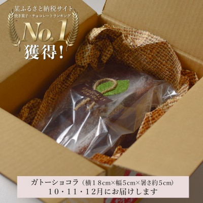 【定期便 3回】ガトーショコラ (年内にお届け)