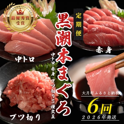 【定期便 6回】日本一!黒潮本まぐろ 中トロ・赤身・ブツ切り(3種交互)