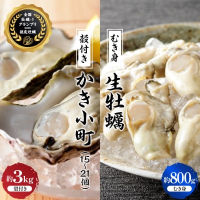 【2025年12月より発送】丸十水産 生牡蠣 特選むき身 800g 殻付き かき小町 約3kg