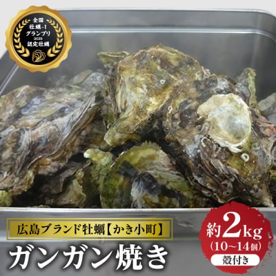 【2025年12月より発送】丸十水産 広島ブランド牡蠣 かき小町 ガンガン焼き 約2kg
