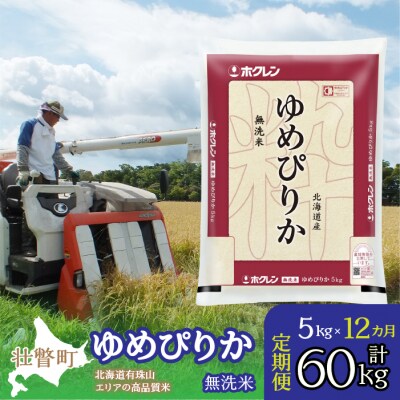 【令和7年産】【1年定期配送】(無洗米5kg)ホクレンゆめぴりか SBTD061