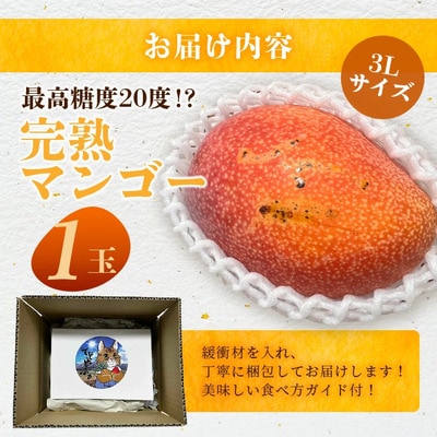 《2026年6月下旬～7月下旬発送》完熟!3Lサイズ 石垣島マンゴー 約400g