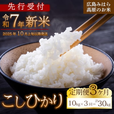 【先行受付】■3か月定期便■ 令和7年新米 コシヒカリ 白米10kg [220-007]