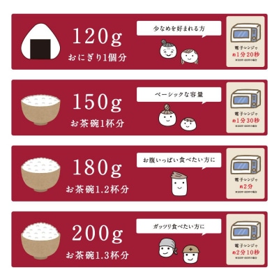 【200g×40食】 パックごはん 低温製法米のおいしいごはん