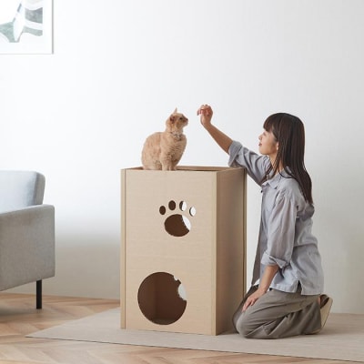 猫　ねこねこタワー　P-NT2